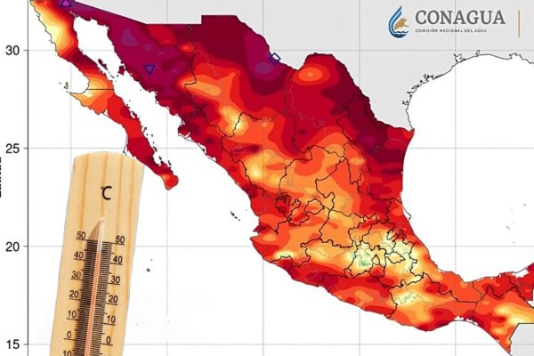 Canícula 2025: este día ingresa y así podría afectar a Veracruz