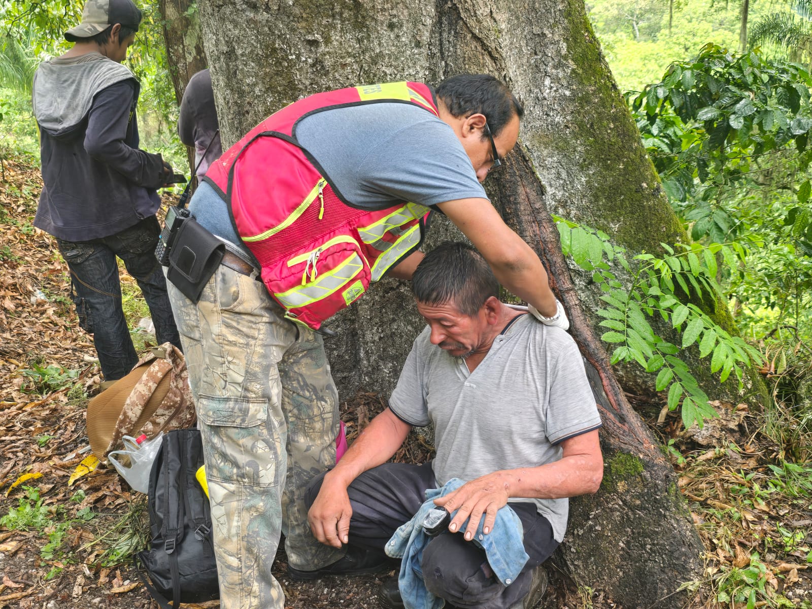 Enjambre de abejas ataca a cortadores de café en Fortín