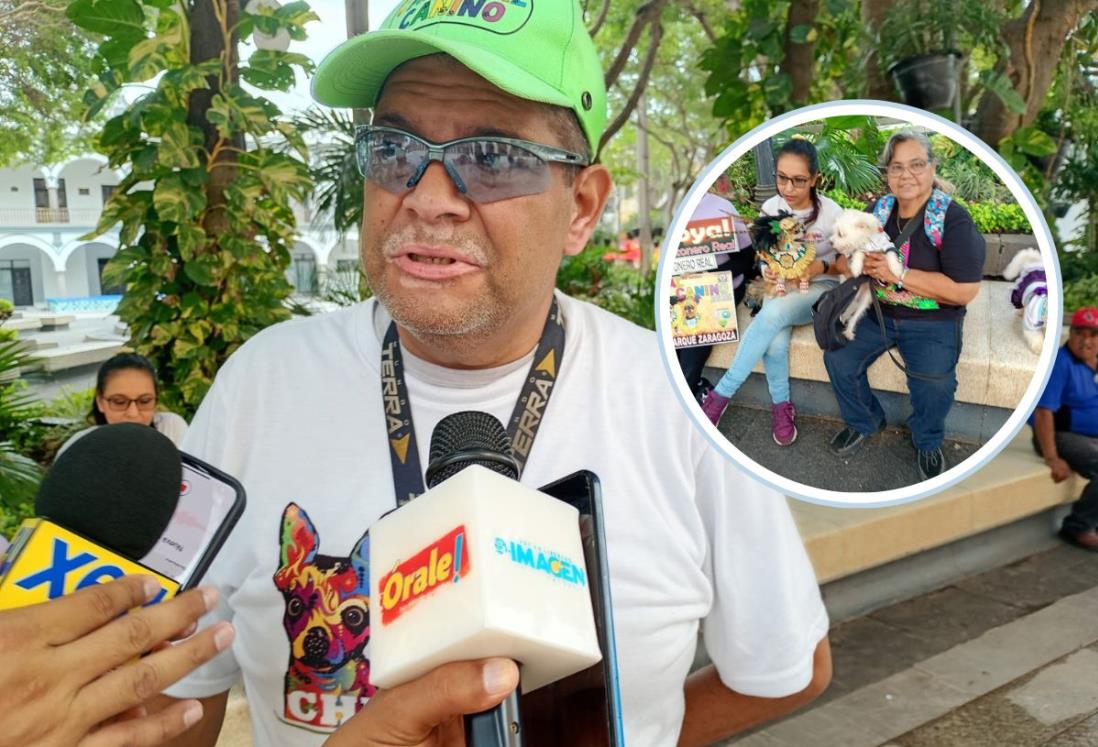 Realizarán Carnaval canino en Veracruz: un kilo de croquetas es un voto