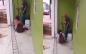 Buscan a familiares de mujer adicta que deambula en Ixhuatlán del Sureste