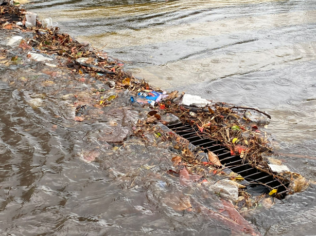 Lluvias desatan inundaciones en colonias de Veracruz: Vecinos piden ayuda