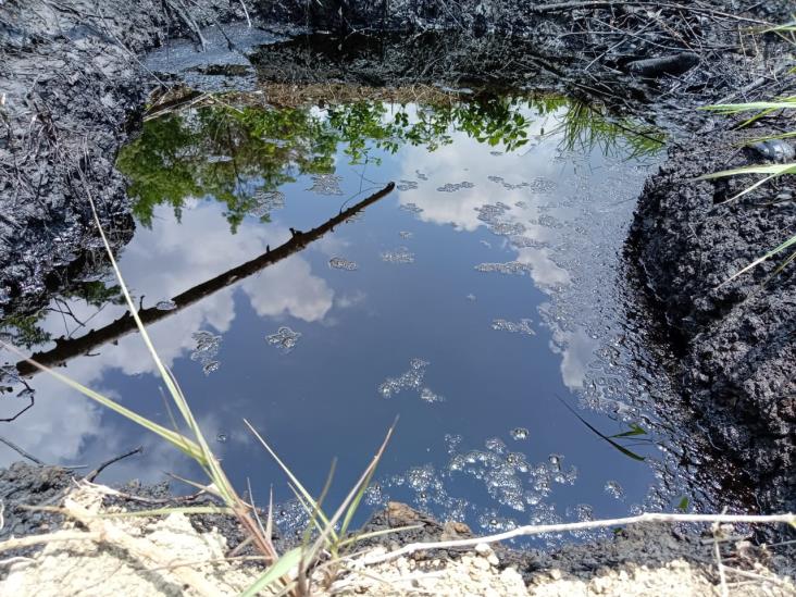 Reportan nuevo derrame de petróleo en este municipio del norte de Veracruz