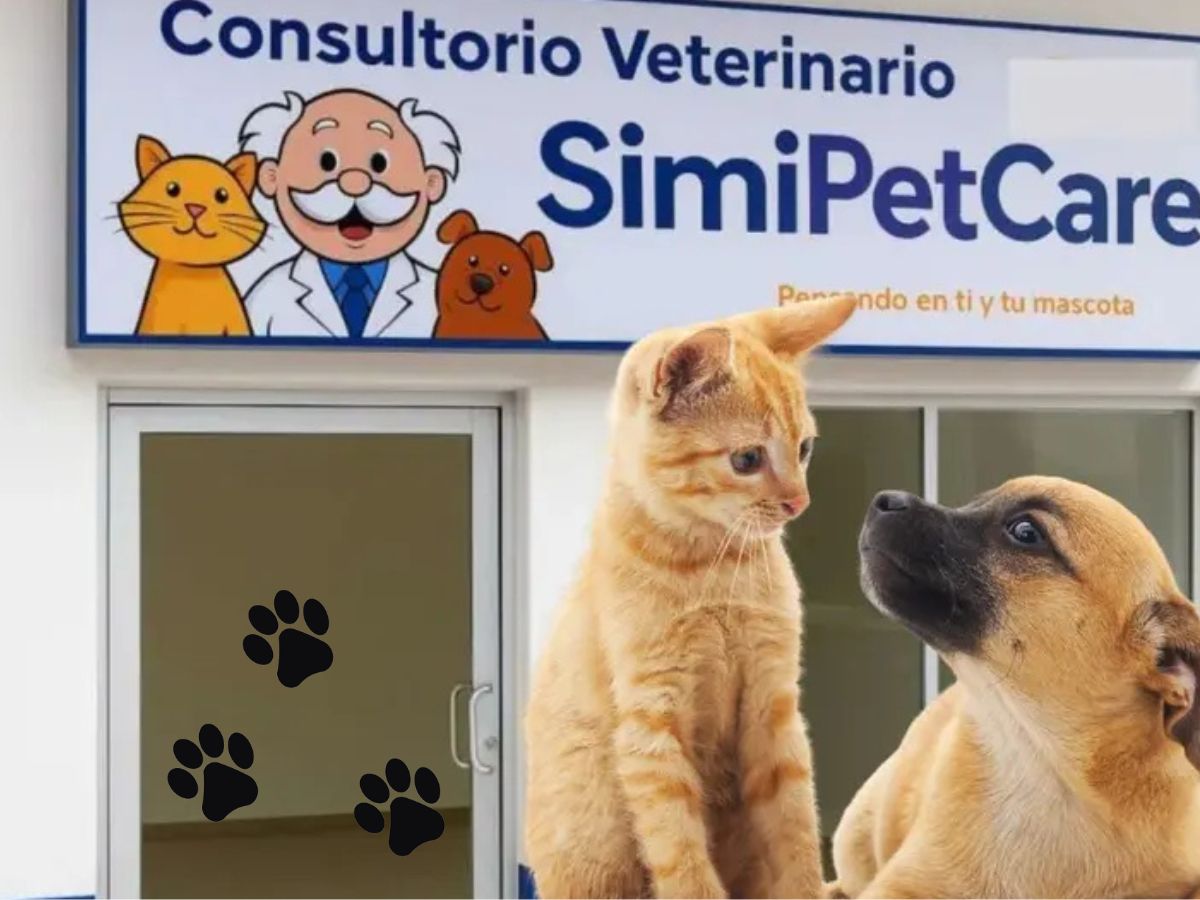 SimiPet Care: ¿cuándo abrirán la primera sucursal y cuánto costarán las consultas?