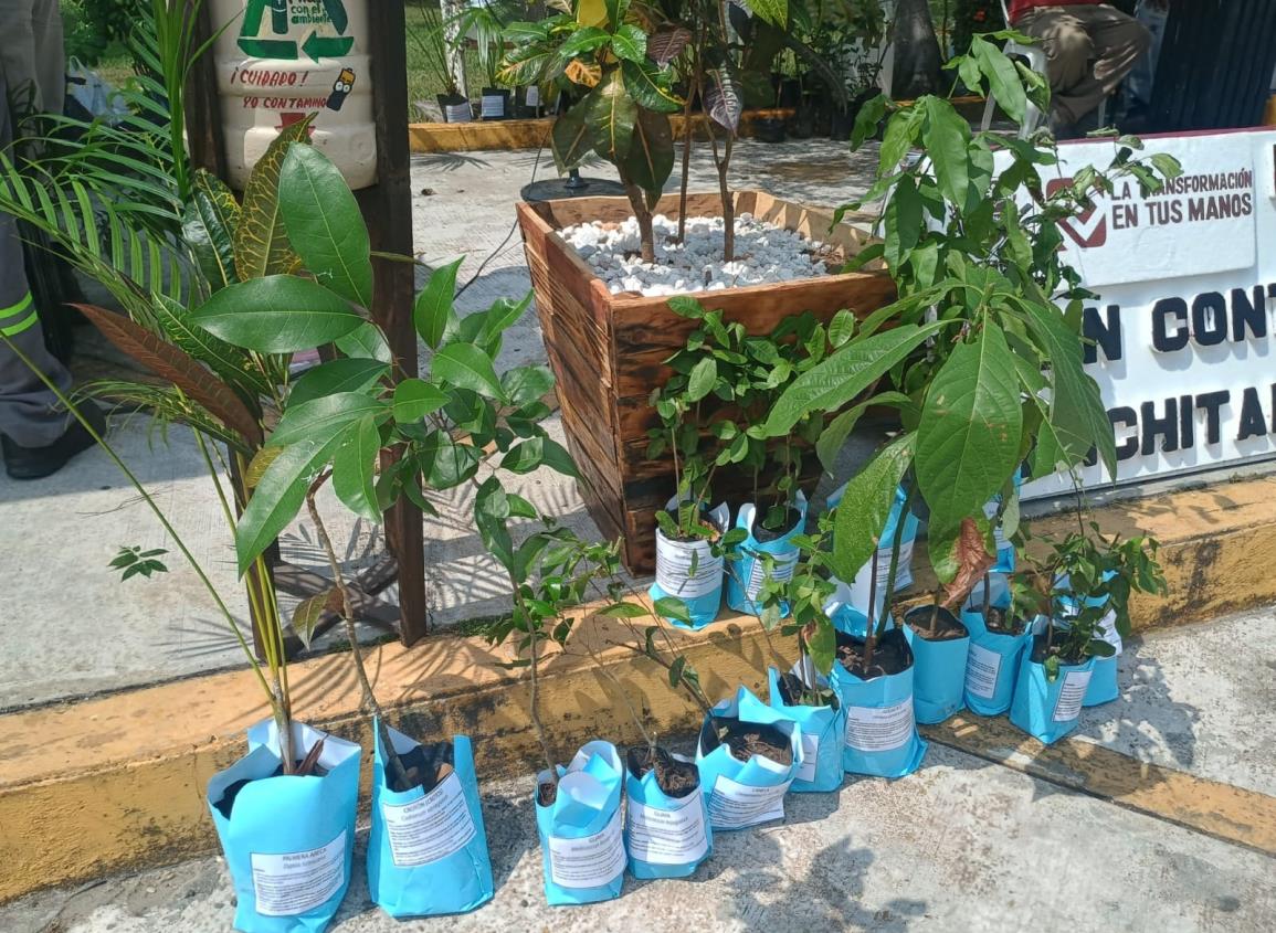 Nanchitecos responden al trueque de plantas por material reciclado