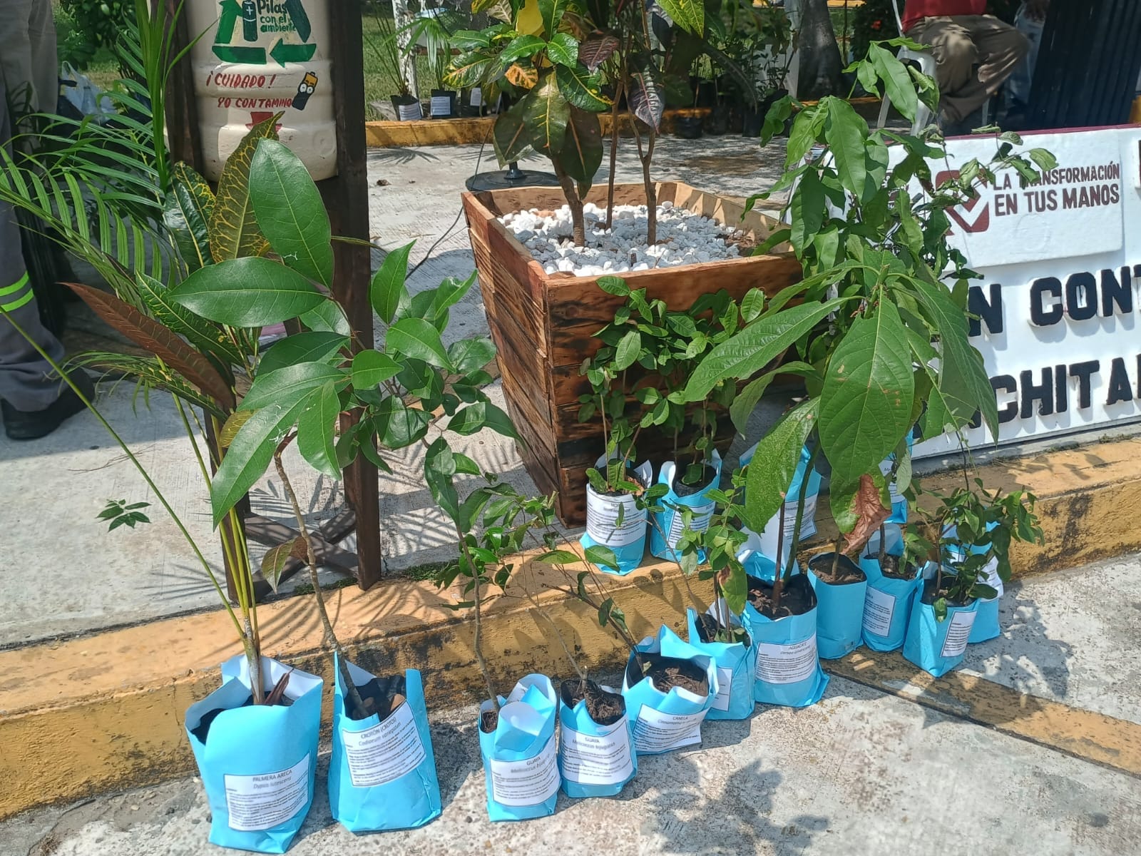 Nanchitecos responden al trueque de plantas por material reciclado