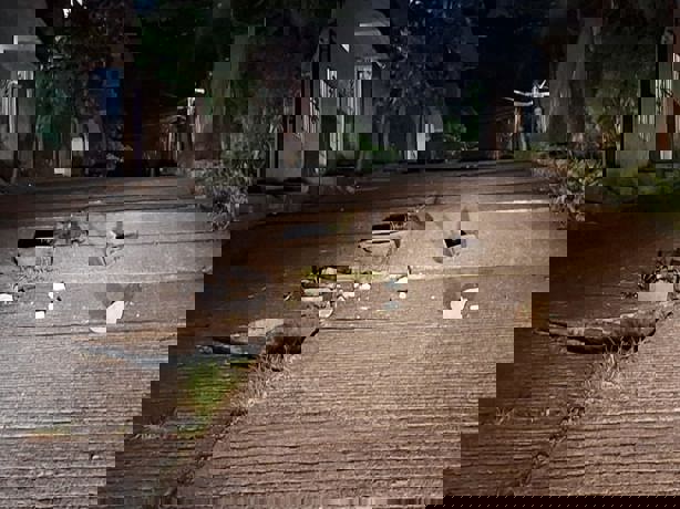 Alertan por posible socavón en la calle Miguel Alemán en Misantla