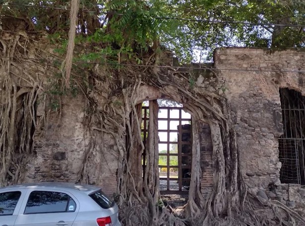 Claudia Sheinbaum decreta que La Antigua en Veracruz sea declarada Zona de Monumentos Históricos