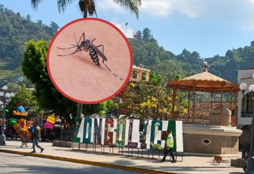 Zongolica, en alerta por casos sospechosos de dengue