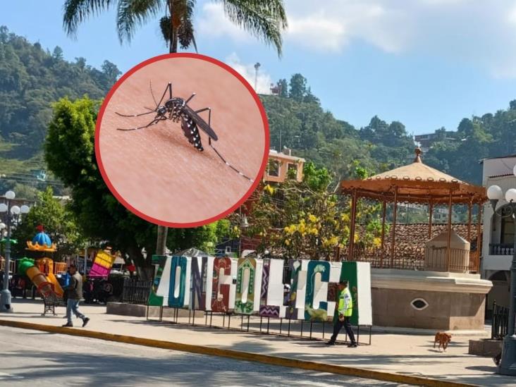 Zongolica, en alerta por casos sospechosos de dengue