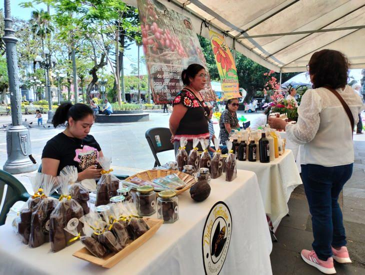 En Córdoba, celebran el Día del Medio Ambiente con colecta y Mercadito