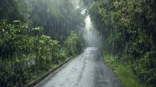 PC de Veracruz mantiene vigilancia sobre la tormenta tropical "Bárbara"