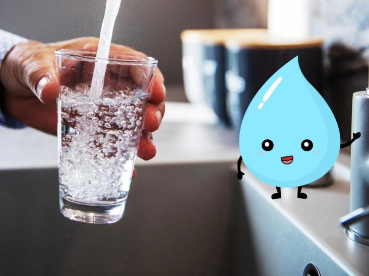 El poder está en tus manos: así puedes  purificar tu agua