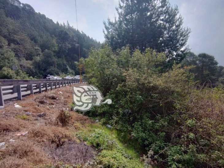 Terrible hallazgo: localizan a joven sin vida en barranco en Maltrata