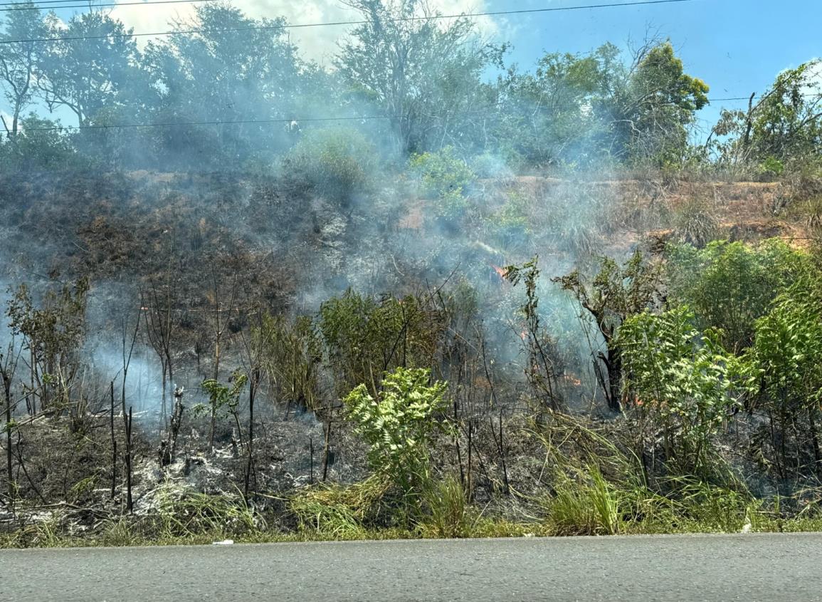 Incendio en "El Burro" afectó red de internet en Agua Dulce