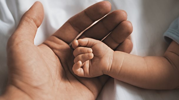 La paternidad