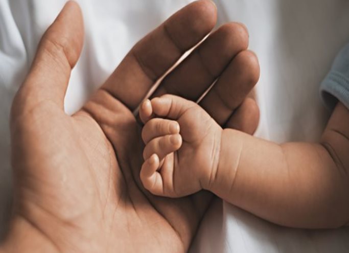 La paternidad