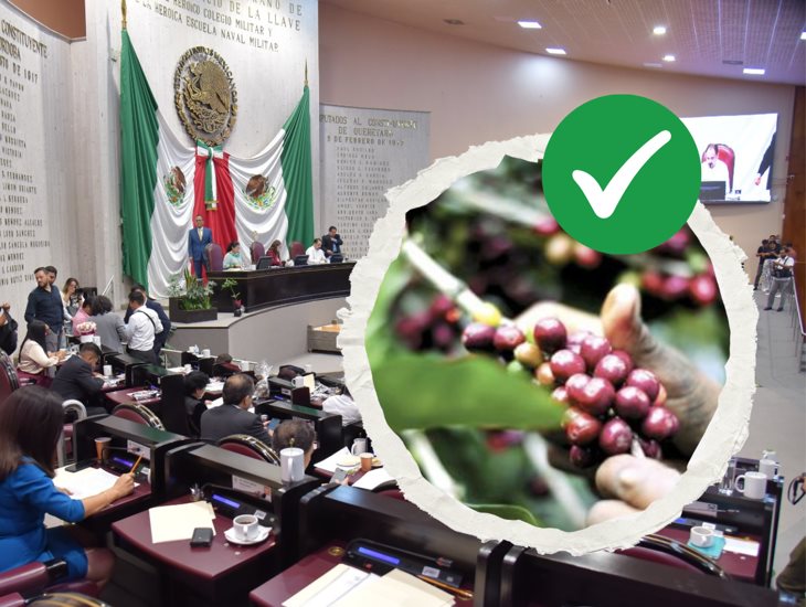 Crean en Congreso de Veracruz comisión para atender crisis cafetalera