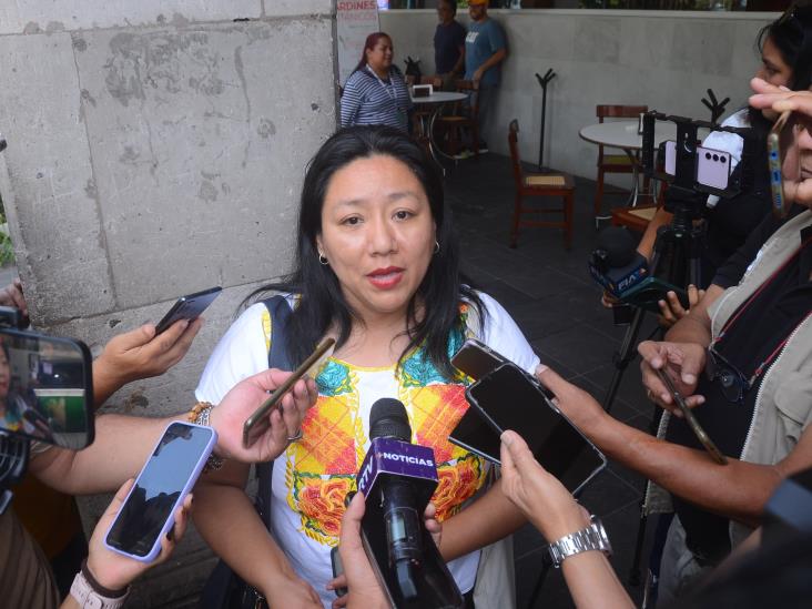 Violencia sexual contra niñas, flagelo que sigue afectando a Veracruz: Equifonía