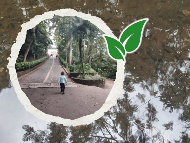 Parque Los Tecajetes en Xalapa tendrá Foro Verde, conoce detalles