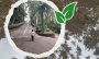 Parque Los Tecajetes en Xalapa tendrá Foro Verde, conoce detalles