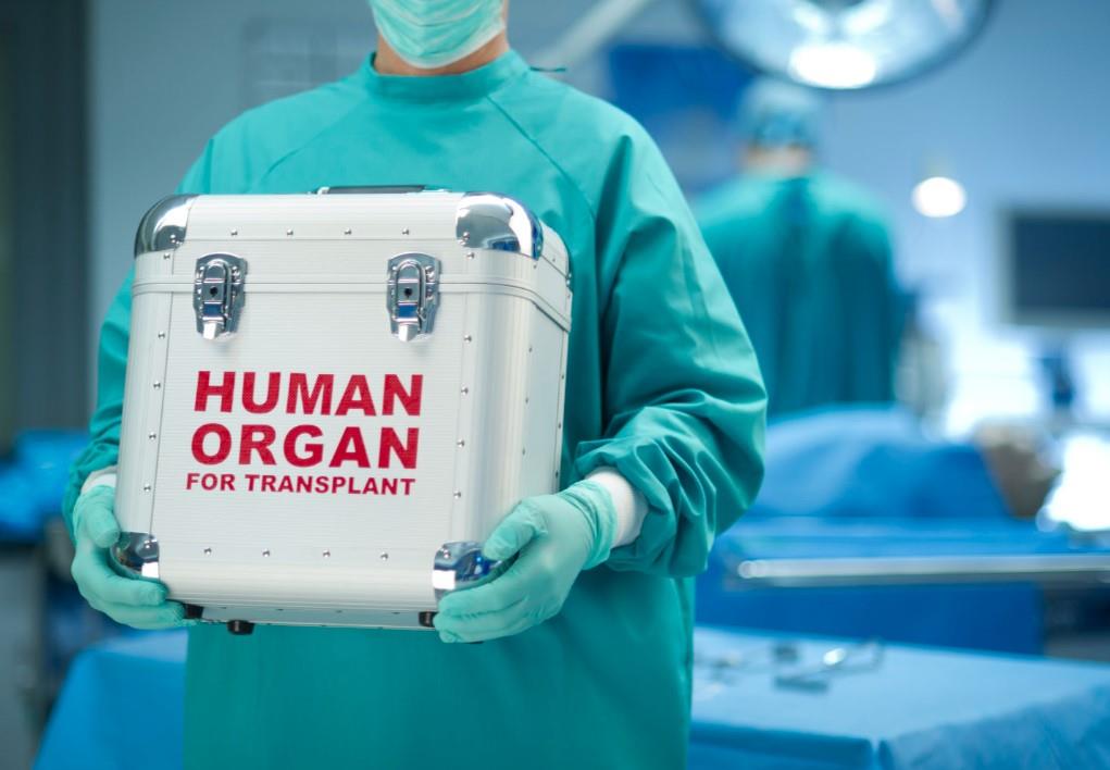 Veracruz participa en operativo de donación de órganos con otros 2 estados
