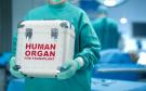 Veracruz participa en operativo de donación de órganos con otros 2 estados