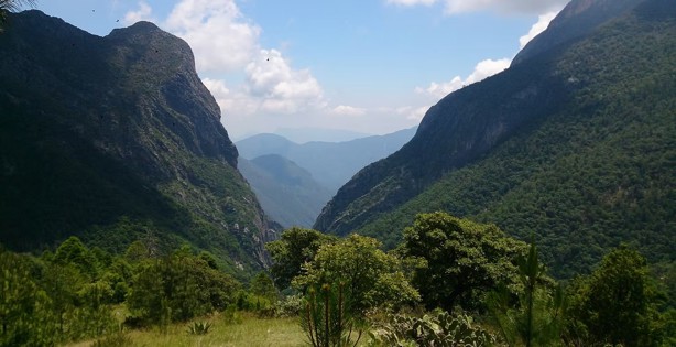 Salidas desde Monterrey para reconectar con la naturaleza