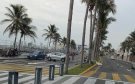 Conductor impacta su automóvil contra una palmera en el bulevar de Veracruz