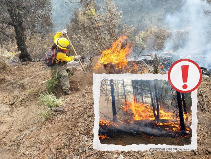 En Veracruz, se han registrado 131 incendios forestales: Conafor