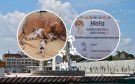 Más de 50 personas buscan adoptar a cachorritos de María Teresa y Danilo, perritos del malecón de Veracruz