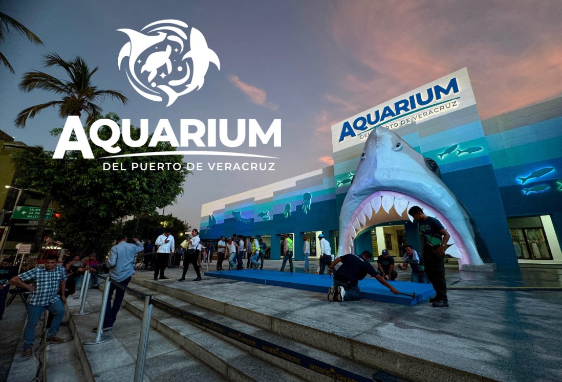 Por esta razón no habrá martes gratis en el Aquarium de Veracruz en julio 2025