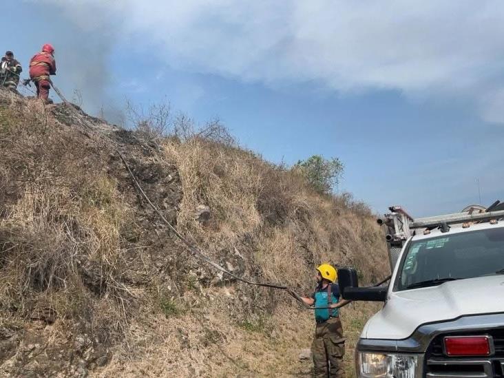 Voraz incendio de pastizal a la altura de autopista Cardel–Poza Rica