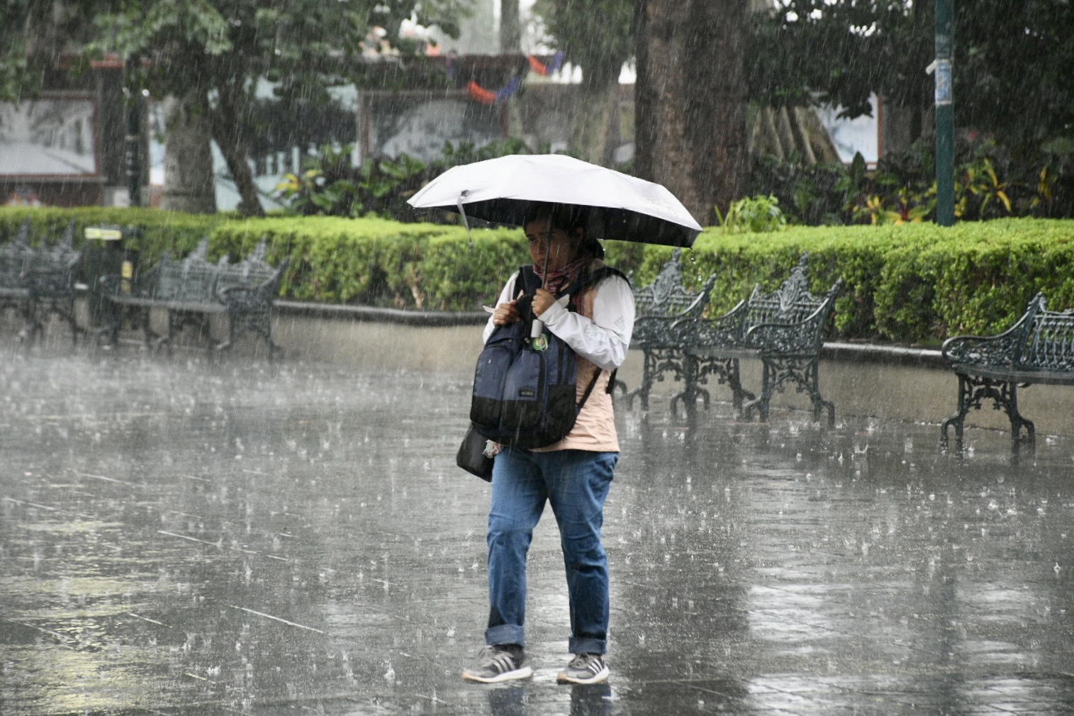 Clima en Xalapa: ¿seguirá lloviendo este 14 de junio?