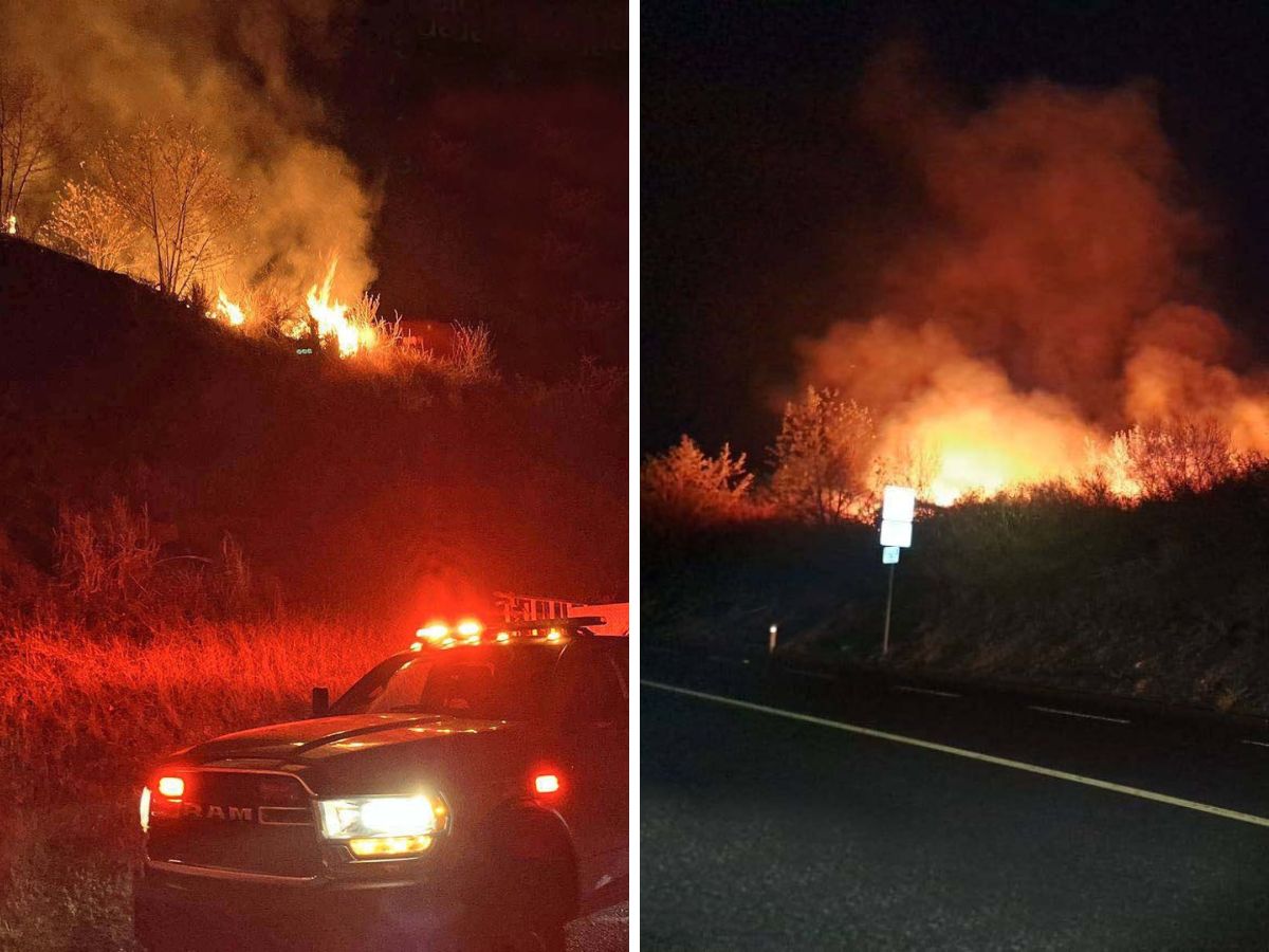 Sofocan incendio de pastizal en autopista Cardel–Poza Rica