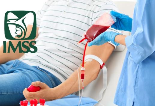 Estos son los requisitos para donar sangre, según el IMSS