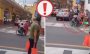 Captan agresión de mujer en silla de ruedas contra otra mujer en Orizaba (+Video)
