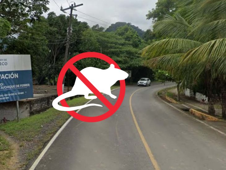 Denuncian robo a rancho en Juchique de Ferrer
