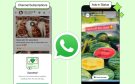 ¿WhatsApp meterá publicidad y subscripciones? Esto se sabe