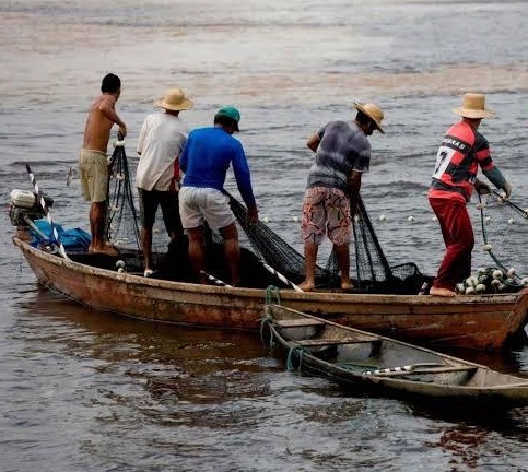 Condiciones del clima en Veracruz no permiten incremento de producción pesquera