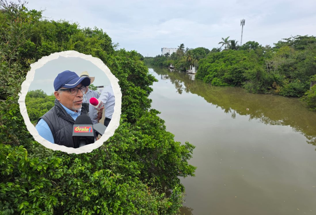 Denuncian destrucción de manglares en la región del área natural protegida Arroyo Moreno