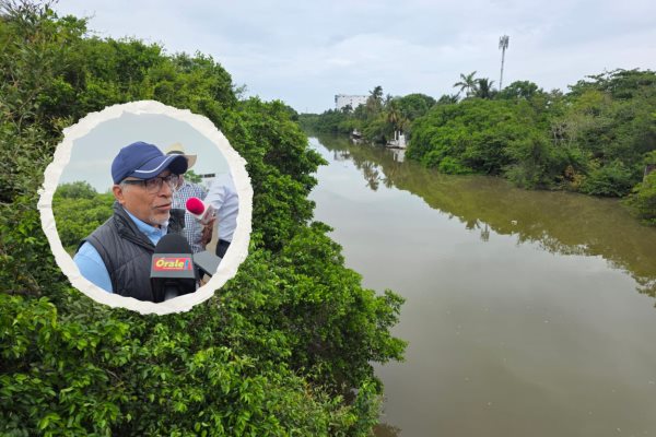 Denuncian destrucción de manglares en la región del área natural protegida Arroyo Moreno