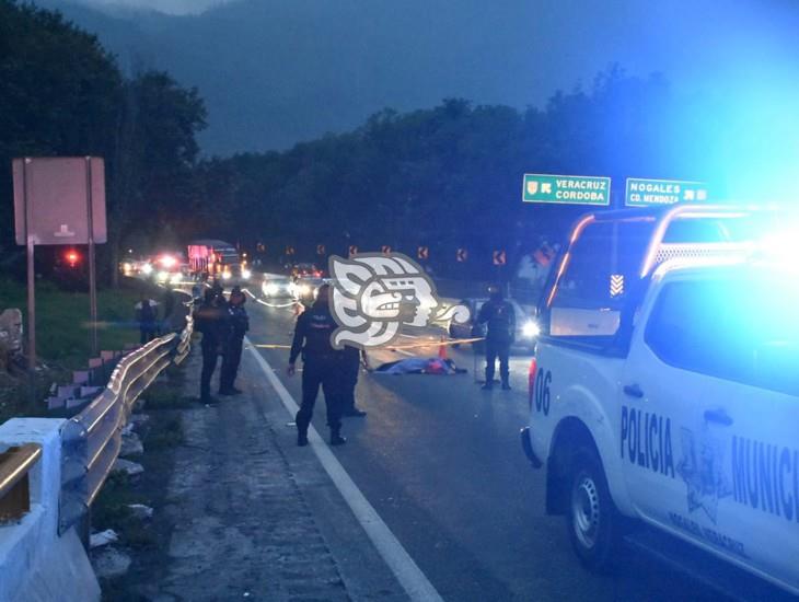 Trágico: muere motociclista atropellado sobre la autopista Orizaba-Puebla (+Video)