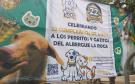 Con "Perretón", albergue La Roca celebra 22 años de rescatar perros y gatos