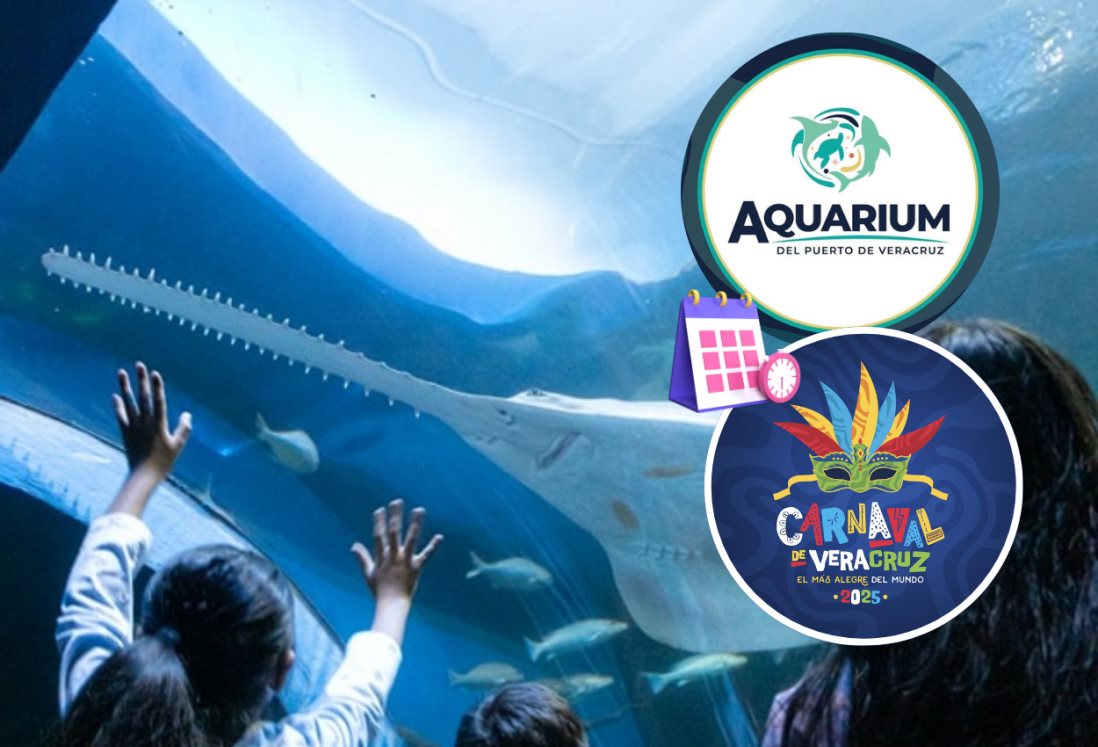 Aquarium de Veracruz: estos son los horarios que abrirá durante los días de Carnaval de Veracruz 2025