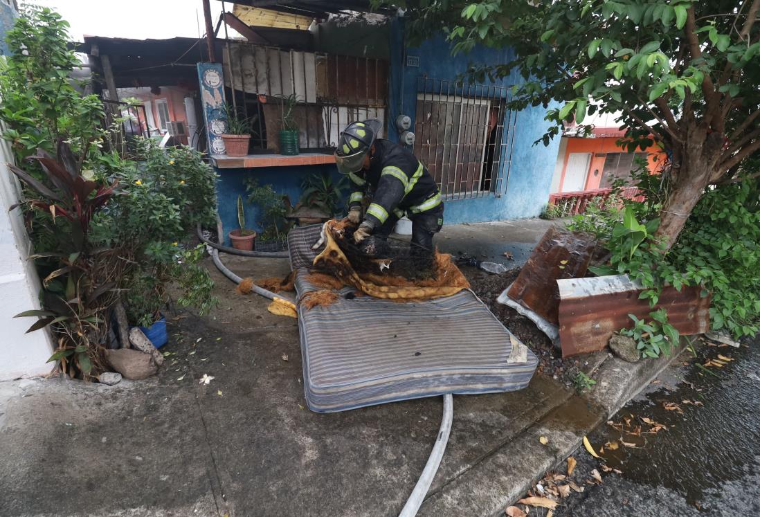 Incendio en colonia de Veracruz deja daños materiales y 7 pájaros heridos