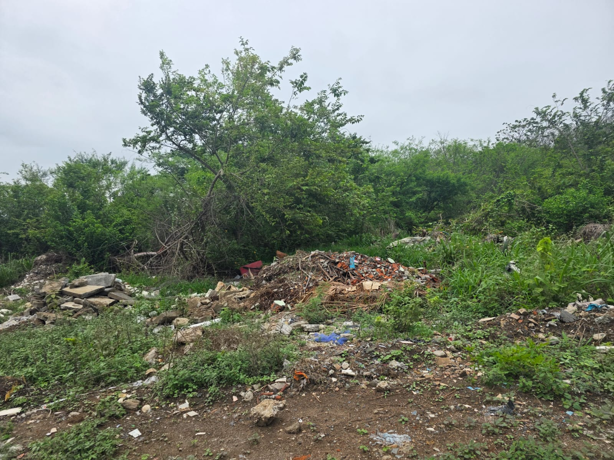 Vecinos denuncian tiradero clandestino en colonia Mata de Pita