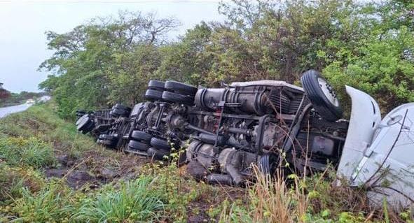 Vuelca tráiler cargado con alimento para ganado en Alto Lucero, Veracruz