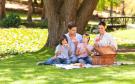 Disfruta del Día Internacional del Picnic; interactúa en torno a la naturaleza con una buena comida