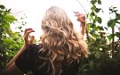 3 mascarillas naturales que pueden ayudarte a evitar la caspa ¿Cómo prepararlas?