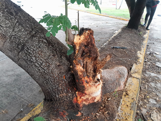 Conductor pierde el control y vuelca su vehículo en fraccionamiento Casas Díaz